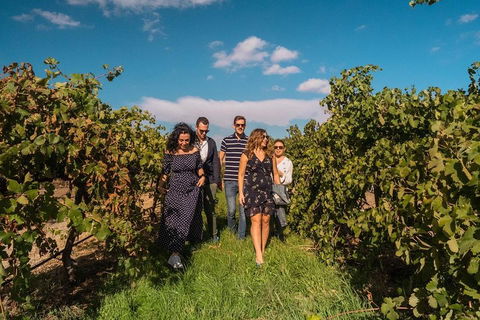 Barossa Valley Private Tour (from 2 To 11 People) - Yamba Accommodation 0