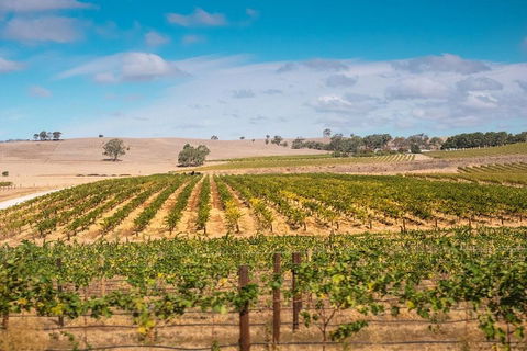 Barossa Valley Private Tour (from 2 To 11 People) - Yamba Accommodation 2