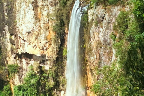 Natural Arch, Rainforest & Volcano Canyon - Private Half Day Tour - Yamba Accommodation 2