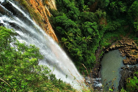 Natural Arch, Rainforest & Volcano Canyon - Private Half Day Tour - Yamba Accommodation 5