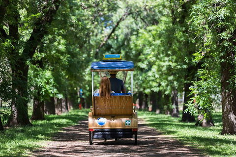 Adelaide 90-Minute Pedicab Tour: Scenic Green & River Experience - Yamba Accommodation 2