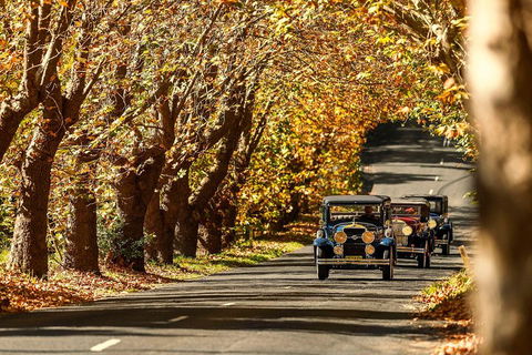 Blue Mountains Vintage Cadillac Tour With Local Guide - Yamba Accommodation 1