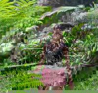 Full-Day Guided Hinterland Adventure Tour in Queensland - Yamba Accommodation
