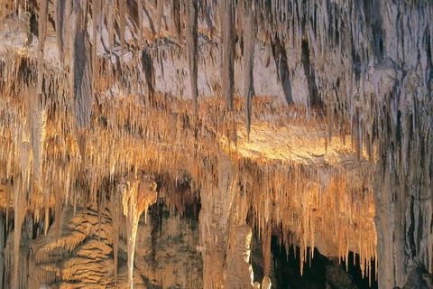 Margaret River, Caves, Wine And Cape Leeuwin Lighthouse Tour From Perth - Yamba Accommodation 3