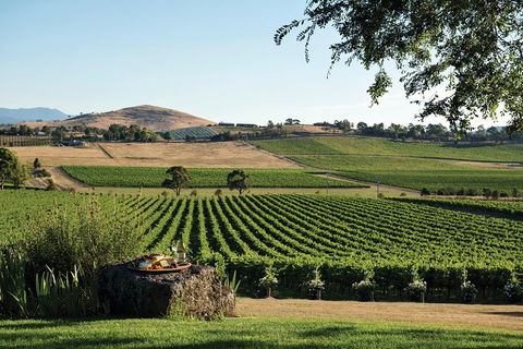 Small Group 6 Guests: Ultimate Yarra Valley Food And Wine - Mercedes Van - Yamba Accommodation 4