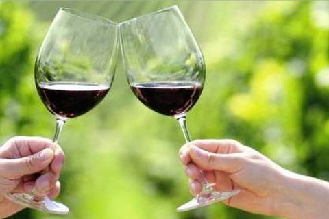 Yarra Valley Premium Tour Inc Lunch And Cheese And Wine Pairing At De Bortoli - Yamba Accommodation 5