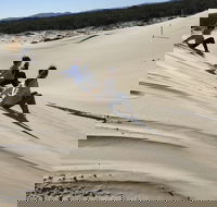 Port Stephens Bush Beach and Sand Dune 4WD Tag-Along Tour - Yamba Accommodation