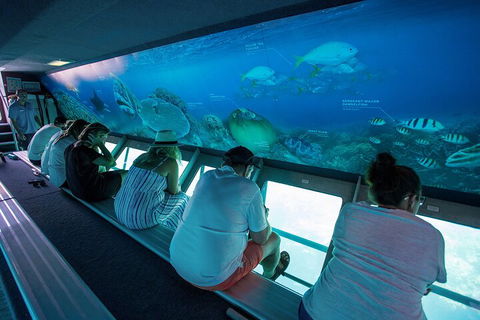 Great Barrier Reef Day Cruise To Reefworld - Yamba Accommodation 0
