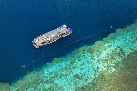 Great Barrier Reef Day Cruise To Reefworld - Yamba Accommodation 2