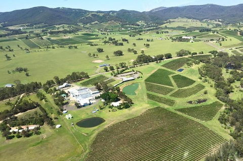 Helicopter Tour Of Hunter Valley In New South Wales With Lunch - Yamba Accommodation 4
