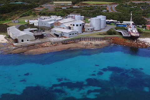 Albany's Whale Story - Yamba Accommodation 4