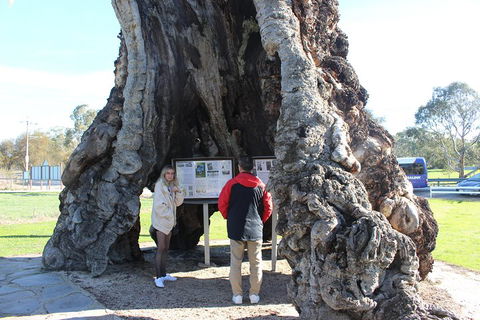 Barossa And Hahndorf Day Trip From Adelaide Including Wine Tasting And Lunch - Yamba Accommodation 1