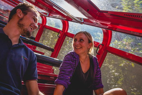 Blue Mountains Hop-on Hop-off Tour With Optional Scenic World Rides - Yamba Accommodation 5