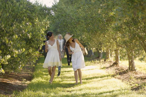 Yarra Valley Wine Tour With Local Harvest Tastings From Melbourne - Yamba Accommodation 0