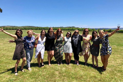 Yarra Valley Wine Tour With Local Harvest Tastings From Melbourne - Yamba Accommodation 4