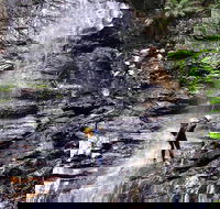 Full-Day Canyoning Experience at Stunning Empress Canyon - Yamba Accommodation