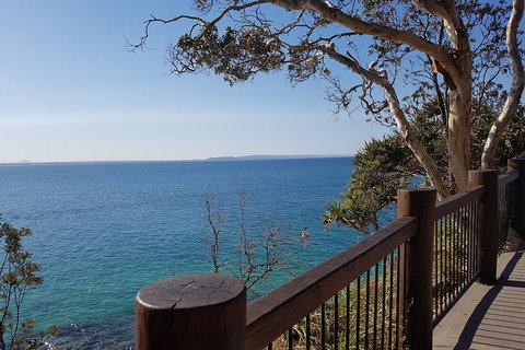 Noosa And Sunshine Coast Hinterland Day Trip From Brisbane - Yamba Accommodation 0