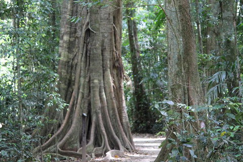 Noosa And Sunshine Coast Hinterland Day Trip From Brisbane - Yamba Accommodation 3