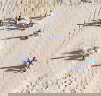 Unlimited Sandboarding - Yamba Accommodation