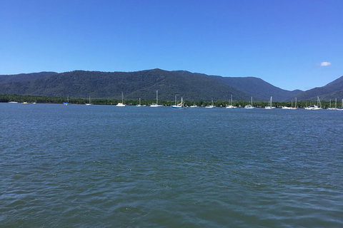 Cairns City Tour - Yamba Accommodation 3
