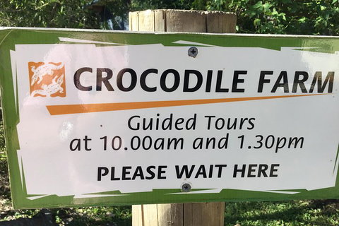 Cairns City Tour - Yamba Accommodation 5