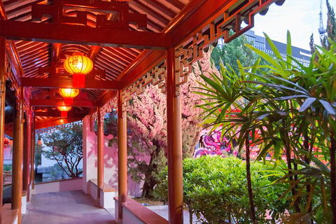 Chinese Garden General Admission Ticket - Yamba Accommodation 4