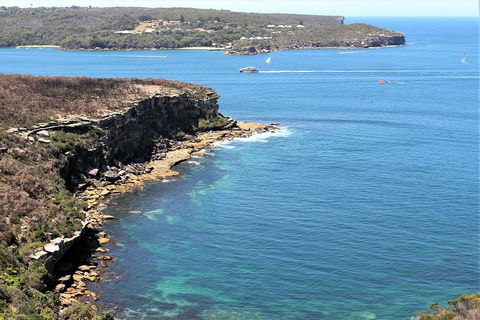 Half Day Manly Beach And More - Yamba Accommodation 0