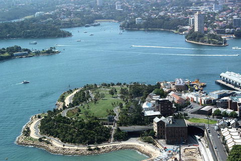 Half Day Manly Beach And More - Yamba Accommodation 1