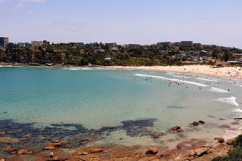 Half Day Manly Beach And More - Yamba Accommodation 2
