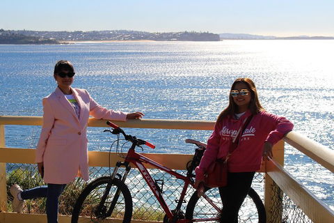 Half Day Manly Beach And More - Yamba Accommodation 4