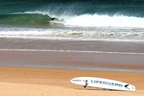 Half Day Manly Beach And More - Yamba Accommodation 5