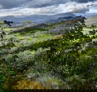 3-Day Tour to the Falls Mountains Lake  More of West Coast Tasmania - Yamba Accommodation