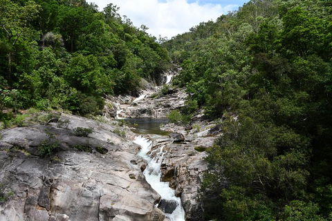 Behana Canyon Rainforest And Waterfall Experience - Yamba Accommodation 1