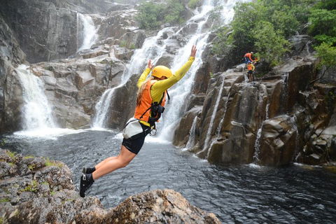 Behana Canyon Rainforest And Waterfall Experience - Yamba Accommodation 3