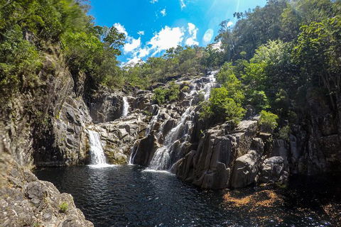 Behana Canyon Rainforest And Waterfall Experience - Yamba Accommodation 5