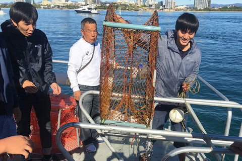Crab Trip From Gold Coast - Yamba Accommodation 1
