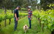 LGBT+ Friendly Full Day Yarra Valley & Dandenong Ranges Private Tour - thumb 4