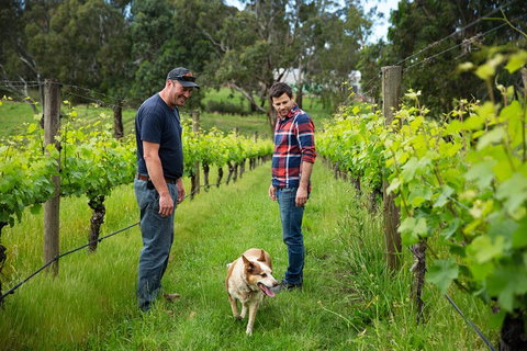 LGBT+ Friendly Full Day Yarra Valley & Dandenong Ranges Private Tour - Yamba Accommodation 4
