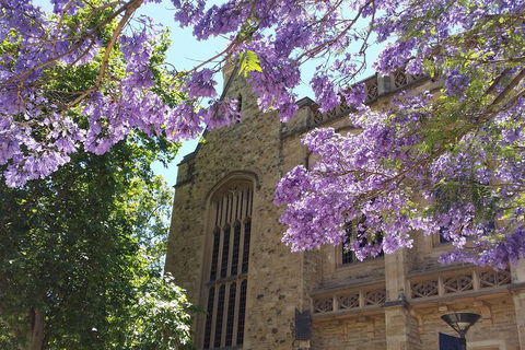 Cultural Caper Adelaide Walking Tour - Yamba Accommodation 1