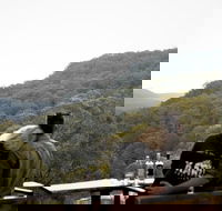 Taste of the Blue Mountains - Lunch  Wine tasting Beer Cider  Gin Tasting - Yamba Accommodation