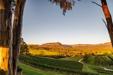 Taste Of The Blue Mountains - Lunch & Wine Tasting, Beer, Cider & Gin Tasting - Yamba Accommodation 1