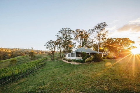 Taste Of The Blue Mountains - Lunch & Wine Tasting, Beer, Cider & Gin Tasting - Yamba Accommodation 2