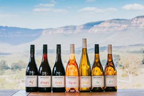 Taste Of The Blue Mountains - Lunch & Wine Tasting, Beer, Cider & Gin Tasting - Yamba Accommodation 3