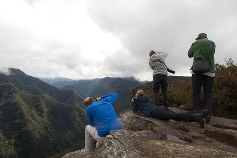 From The Mountains To The Bay - 4 Day Rediscovery Private Tour - Yamba Accommodation 4