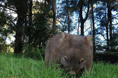 From The Mountains To The Bay - 4 Day Rediscovery Private Tour - Yamba Accommodation 5