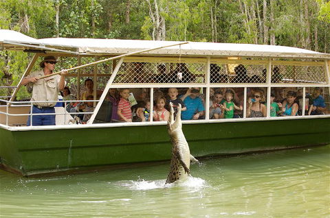 Hartley's Crocodile Adventure Half-Day Tour - Yamba Accommodation 0