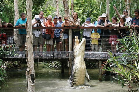 Hartley's Crocodile Adventure Half-Day Tour - Yamba Accommodation 1