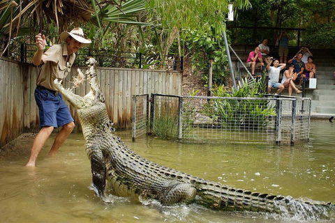 Hartley's Crocodile Adventure Half-Day Tour - Yamba Accommodation 2
