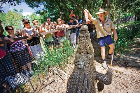 Hartley's Crocodile Adventure Half-Day Tour - Yamba Accommodation 4