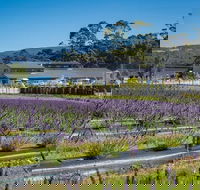 Private Hobart Discover South East Food and Scenic Tour - Yamba Accommodation